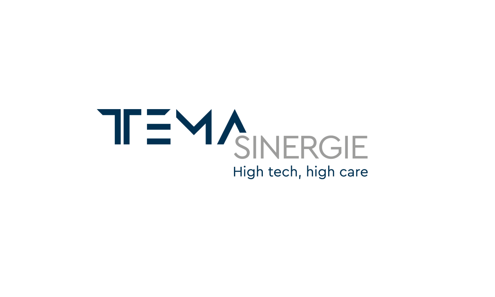 temasinergie-logo